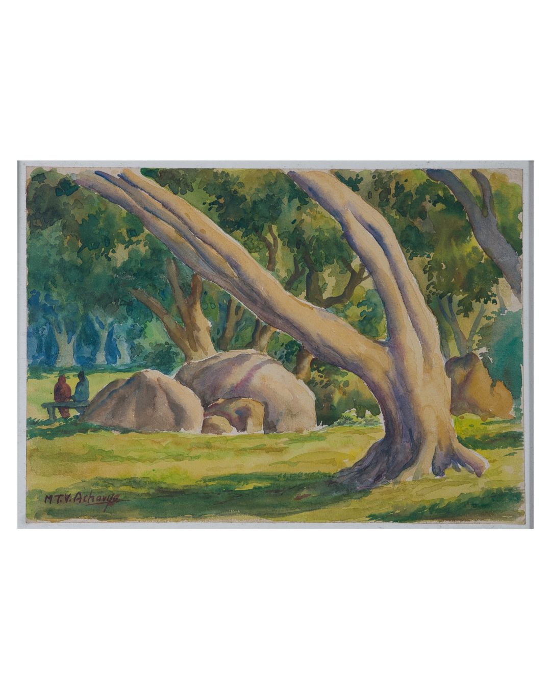The Shaded Grove